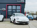 Volkswagen Beetle Lim. Cup - Volkswagen Beetle: Cup