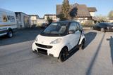Smart ForTwo coupé 1.0 45kW mhd pure pure - Smart ForTwo: Coupe, Kw Mhd Pure