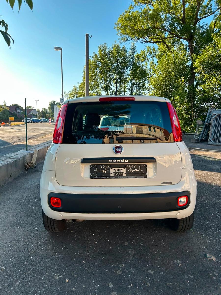 Fiat Panda Easy - Klima - 1 Hand - TÜV neu