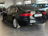 Jaguar XF 30d Prestige Head-Up/Pano/Kamera/LEDs/TotWink - Jaguar XF in Köln