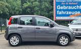 Fiat Panda 1.2i Easy Klima/PDC/Allwetter - Fiat Panda Gebrauchtwagen in Berlin