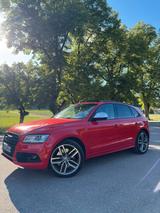 Audi SQ5 3.0 TDI tiptronic quattro - - gebrauchte Audi SQ5 aus dem Jahr 2014