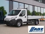Fiat Ducato Maxi Pritsche L2S / 10-Zoll Navi + AHK