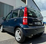 Fiat Panda 1.2 8V Dynamic TOP ZUSTAND/TÜV/KLIMA - Fiat Panda Gebrauchtwagen in Nürnberg