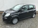 Fiat Panda MY24 1.0 GSE Hybrid Klimaanlage - Fiat Panda Gebrauchtwagen in Aachen