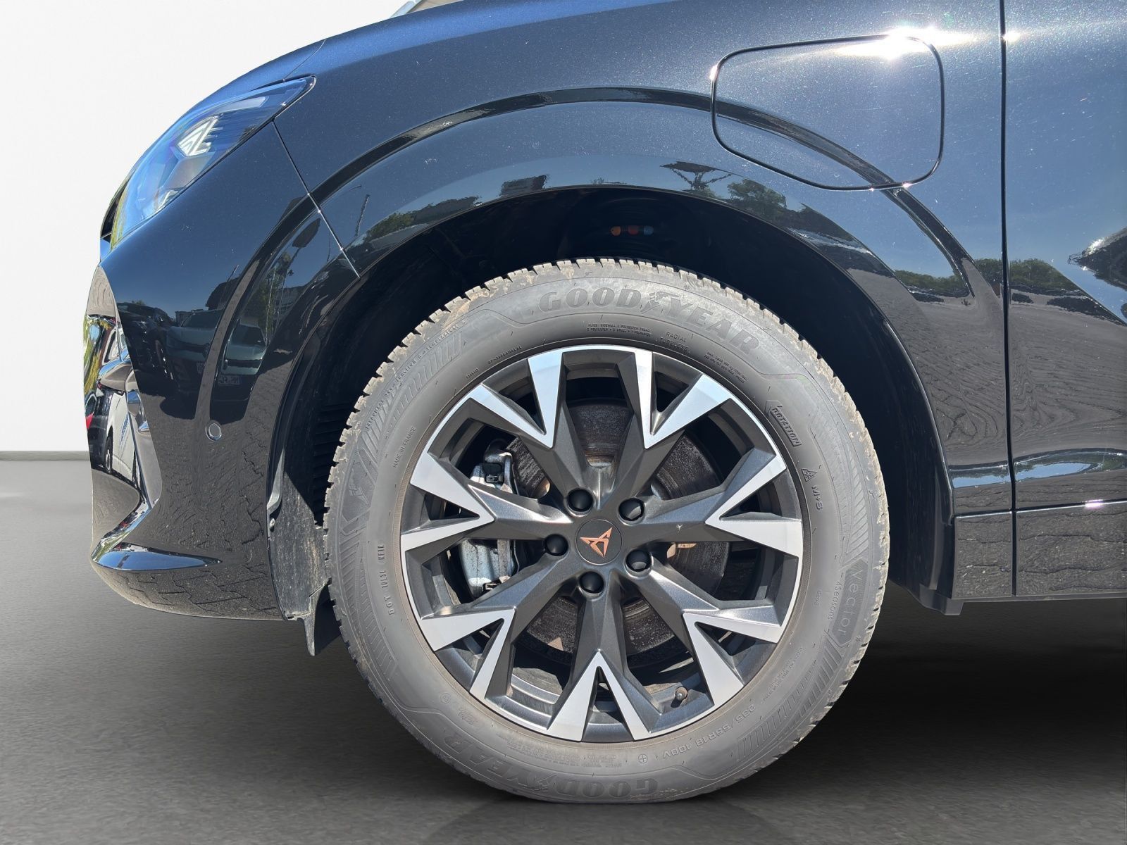Cupra Terramar - Bild 15