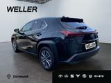 Lexus UX 300e Executive Paket/CarPlay/Tempomat       S - gebrauchte Lexus UX aus dem Jahr 2024