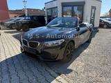 BMW 218 i Cabrio*Klima*SHZ*CD*USB*Isofix*Freispreche - : Cabrio, Us