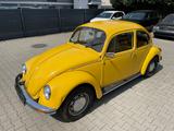 Volkswagen Käfer Sunny Bug abs. Original 2.Hd/Tüv 28 - Volkswagen: Bug
