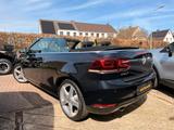 Volkswagen Golf VI Cabriolet Life BMT*Klima*SHZ*Standheizun - Gebrauchte Cabrios bis 10.000 Euro