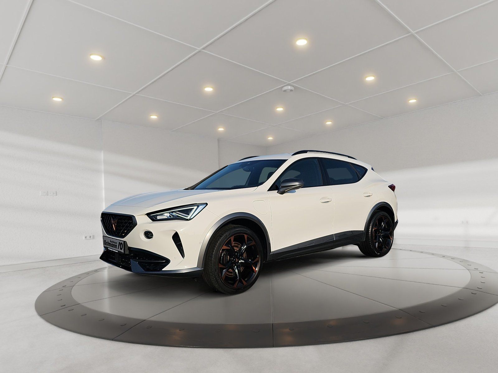 Cupra Formentor VZ eHybrid ACC AHK NAV KAM el. Heck