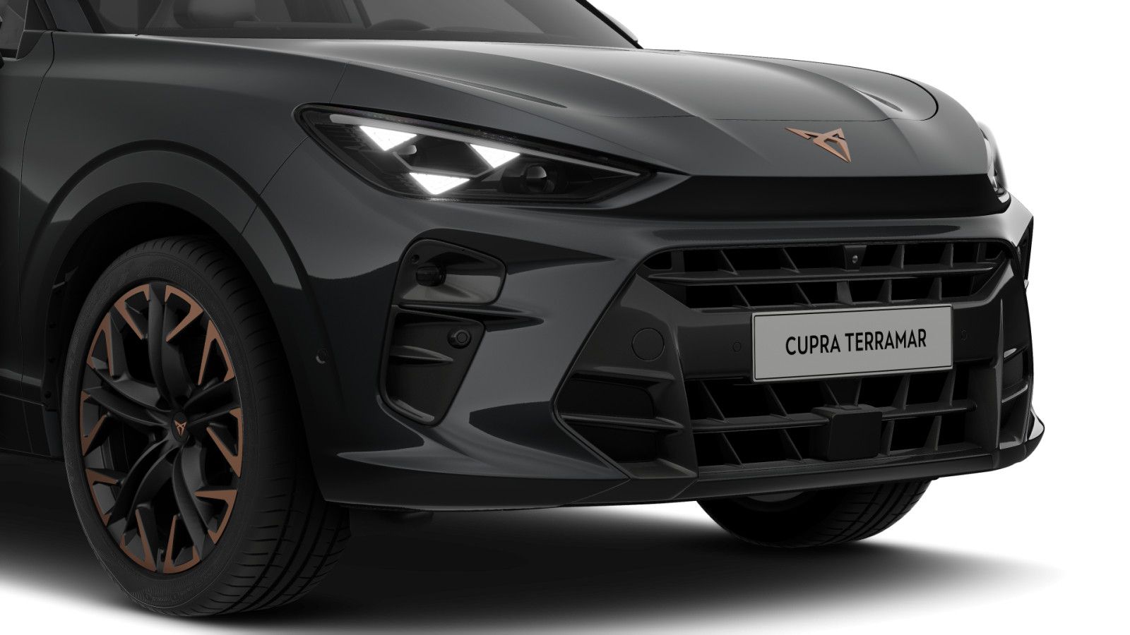 Cupra Terramar - Bild 7
