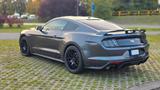 Ford Mustang 2.3 EB PREMIUM PERFORMANCE - Ford Mustang von privat