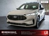 Ford Kuga 2.5 Plug-In Hybrid ST-Line X 360° Kamera