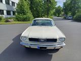 Ford Mustang 289 V8 Bj. 1966 - gebrauchte Ford Mustang aus dem Jahr 1966