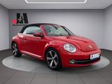 Volkswagen Beetle Cabriolet (5C7)(11.20 - Volkswagen Beetle: Rot, Cabrio