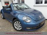 Volkswagen Beetle 1.2TSI Allstar Xenon Kamera Allwetter - VW Beetle Gebrauchtwagen in Frankfurt