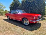 Ford Mustang 1966 T5 Export - Ford Mustang Oldtimer