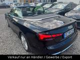 Audi S5 Cabriolet 3.0 TFSI quattro basis*bid - gebrauchte Audi Cabrios