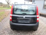 Fiat Panda 1.1 8V Active,Klima,EFH. - Fiat Panda aus 2005
