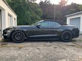 Ford Mustang 5.0  GT - Cabrio - Werksgarantie 11/27 - Ford Mustang in Leverkusen
