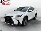 Lexus NX 350h E-FOUR Luxury Line *PANO* Mark Levinson - Lexus NX Luxury-Line