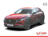 Mazda CX-30 2.5 M-Hybrid Homura LED Navi Kamera SHZ