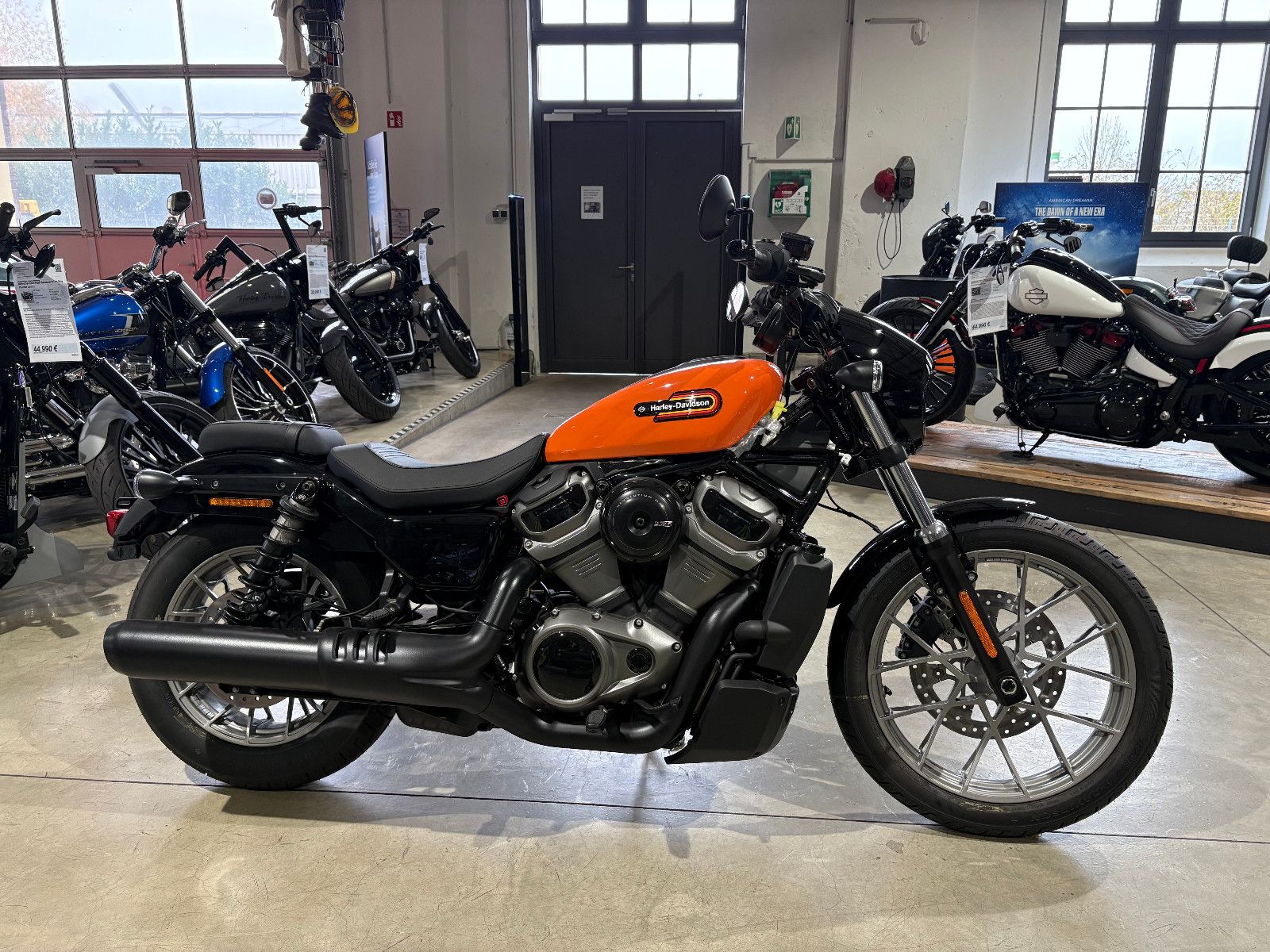 Fahrzeugabbildung Harley-Davidson Nighster Spezial 975T