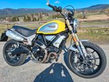 Ducati Scrambler 1100 - DUCATI GELB