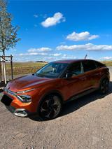 Citroën C4 - Citroën C4 in Dresden