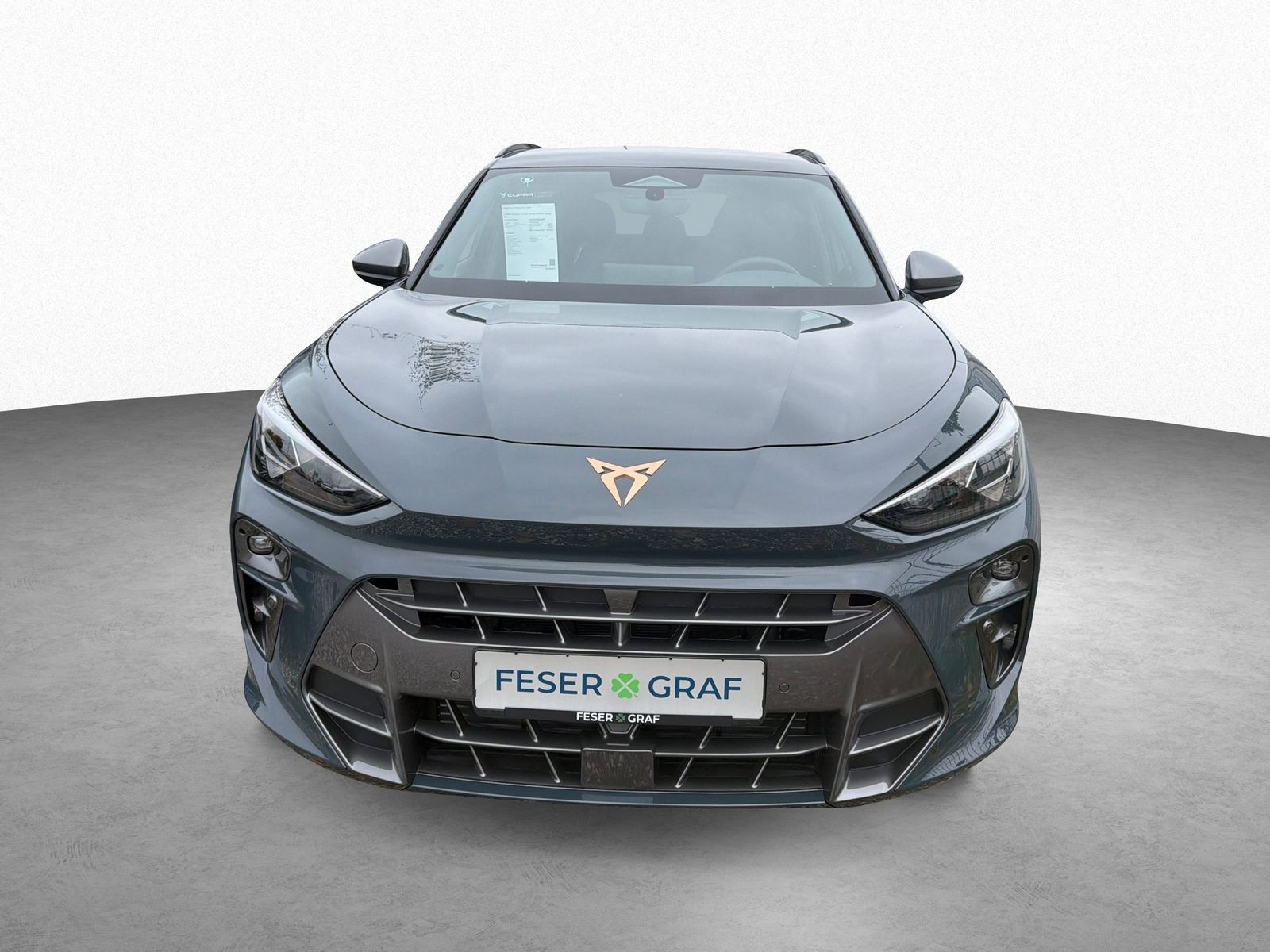 Cupra Terramar - Bild 2