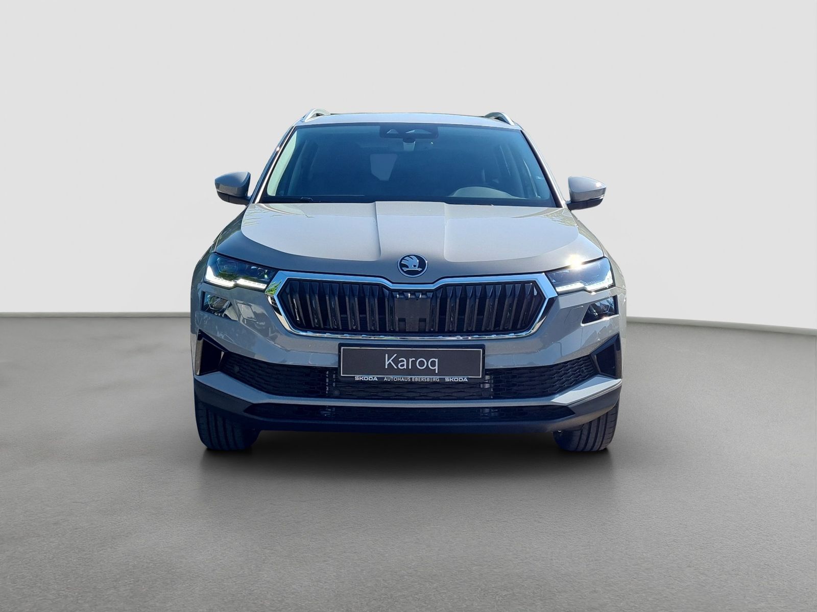 Skoda Karoq - Bild 3