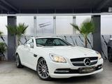 Mercedes-Benz SLK 250 Roadster BlueEfficiency*PANO*NACKEN.HZ* - gebrauchte Cabrios in Duisburg