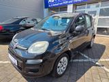 Fiat Panda/ PDC/KLIMA - Fiat Panda: Schwarz