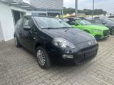 Fiat Punto My Life 1.2 TÜV-NEU - Fiat Punto Gebrauchtwagen in Stuttgart