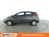 Ford Fiesta 1.25 Trend*SHZ*KLIMA* - Ford Fiesta: 1.2