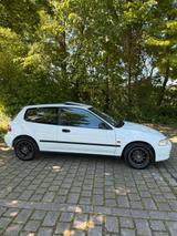 Honda Civic EG4 K20 K24 - Honda Civic: Eg