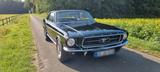 Ford Mustang 1967 6 Zyl. 200cui - Ford Mustang aus 1967: Coupe
