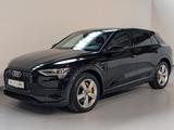 Audi e-tron 55 quattro advanced AIR*KAM*MEMO*PANO*20"