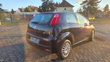 Fiat Punto 1.2 8V Active Active - Fiat Punto: Active