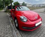 Volkswagen Beetle 1.2 TSI Design Cabriolet / Navi-PDC-Klima