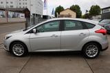 Ford Focus/CARPLAY/KLIMA/ISOFIX/PDC H/ALLWETTERREIFEN - Ford Focus Gebrauchtwagen in Mannheim