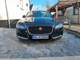 Jaguar XF 30d 300PS Prestige Automatik Prestige - Jaguar: X300
