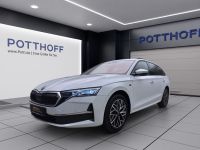 Skoda Octavia - Vorschau Bild 2