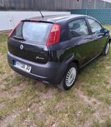 Fiat Punto 1.2 8V / Neuer Motor  - gebrauchte Fiat Punto aus dem Jahr 2007
