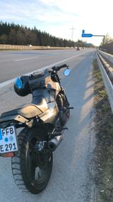 Kawasaki GPZ 900R - Offers