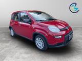 Fiat FIAT Panda III 2024 - Panda 1.0 firefly hybrid s - Fiat Panda: Van