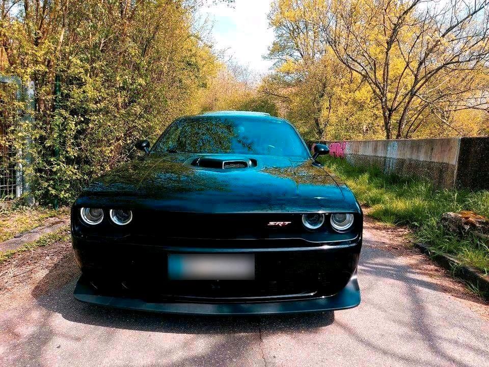 Image of Other Other