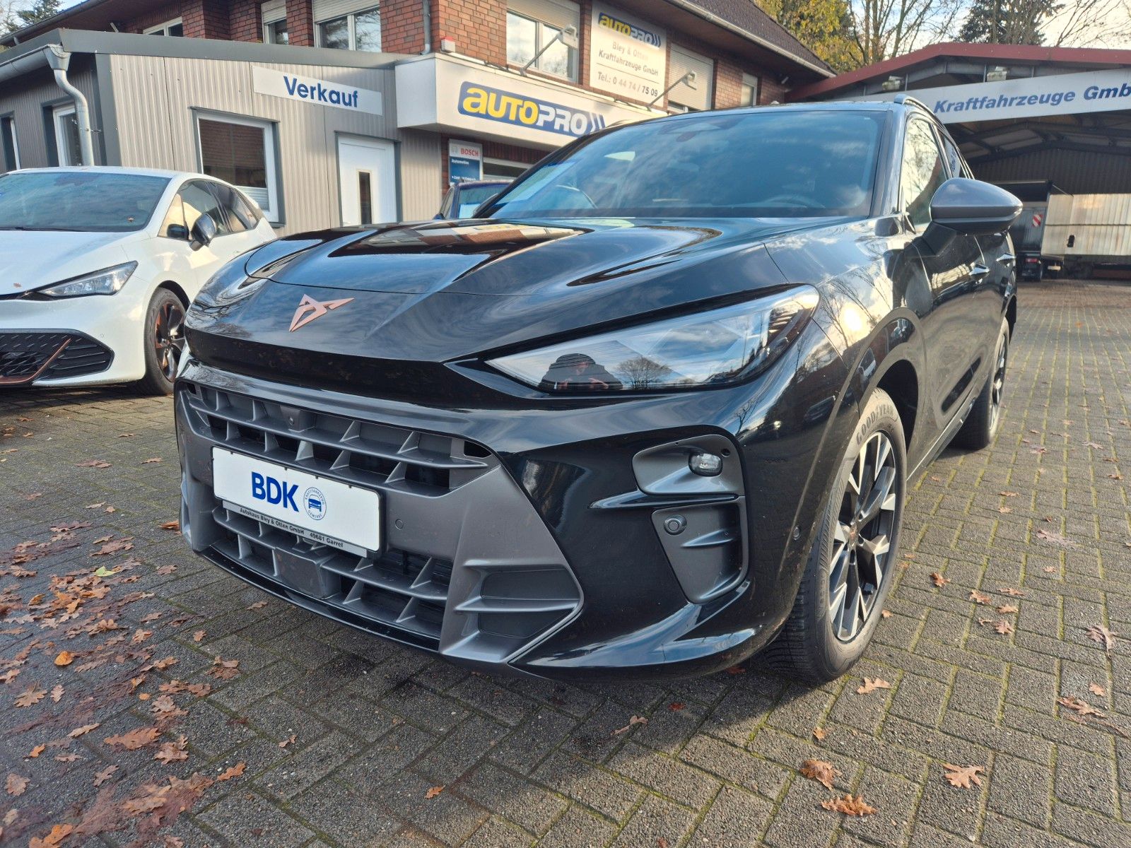 CUPRA Terramar 1.5 eTSI DSG Digital-Paket / Edge