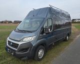 Knaus Boxstar Freeway 630 - Knaus Kastenwagen